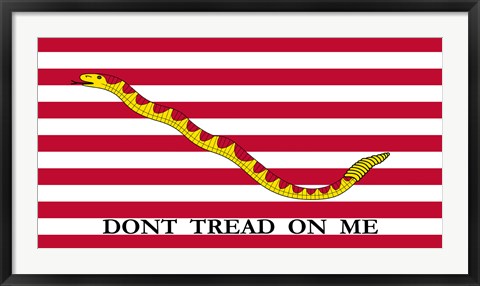 Framed Don&#39;t Tread on Me Print