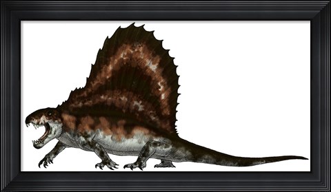 Framed Dimetrodon, a Synapsid that was an Apex Pradator Print