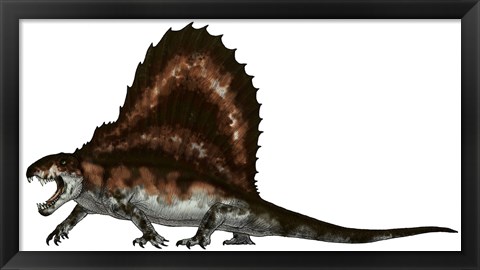 Framed Dimetrodon, a Synapsid that was an Apex Pradator Print