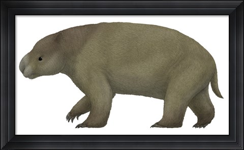 Framed Diprotodon, the Largest know Marsupial Print