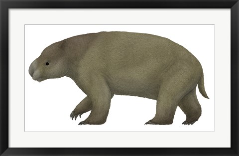 Framed Diprotodon, the Largest know Marsupial Print