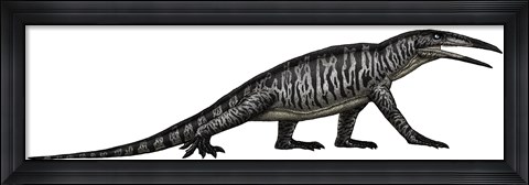 Framed Teraterpeton, an Archosauromorph from the Late Triassic Print