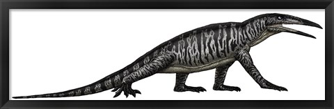 Framed Teraterpeton, an Archosauromorph from the Late Triassic Print