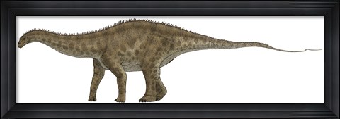 Framed Apatosaurus, a Sauropod Dinosaur also known as Brontosaurus Print