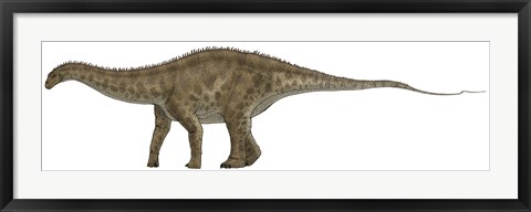 Framed Apatosaurus, a Sauropod Dinosaur also known as Brontosaurus Print