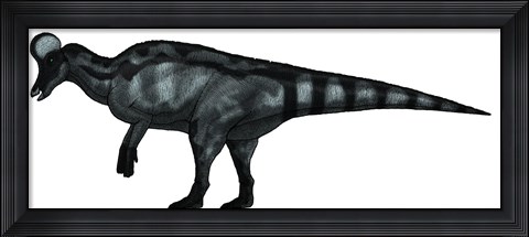Framed Corythosaurus, a Large Hadrosaurid Dinosaur Print