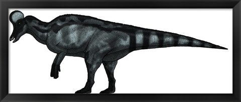 Framed Corythosaurus, a Large Hadrosaurid Dinosaur Print