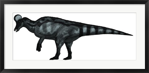 Framed Corythosaurus, a Large Hadrosaurid Dinosaur Print