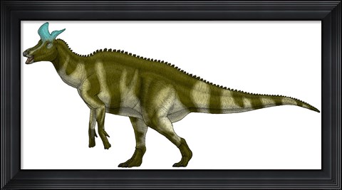 Framed Lambeosaurus Lambei, a Hadrosaurid Dinosaur from the Cretaceous Period Print