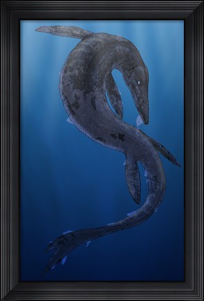 Framed Tylosaurus, a Giant Marine Squamata Shedding its Skin Print