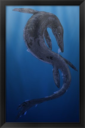 Framed Tylosaurus, a Giant Marine Squamata Shedding its Skin Print