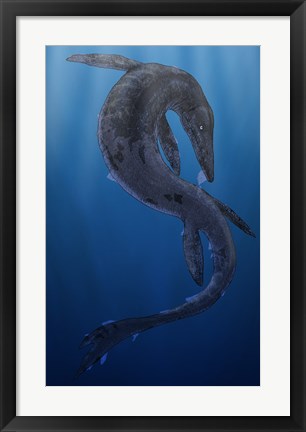 Framed Tylosaurus, a Giant Marine Squamata Shedding its Skin Print