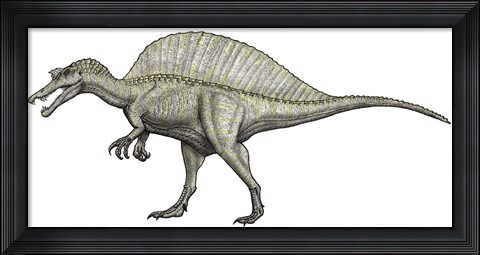 Framed Albino Spinosaurus Print