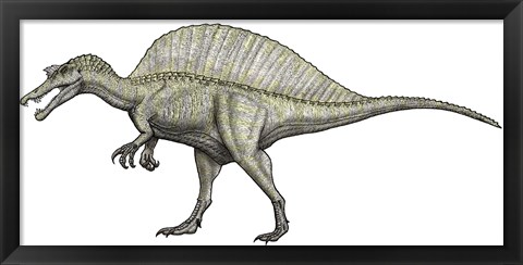 Framed Albino Spinosaurus Print