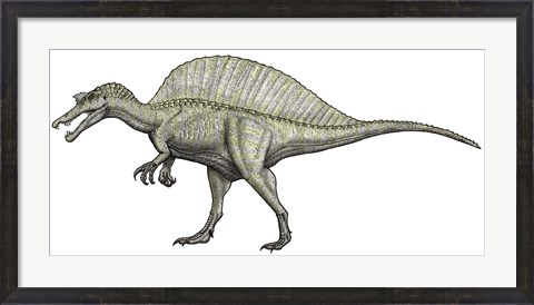 Framed Albino Spinosaurus Print