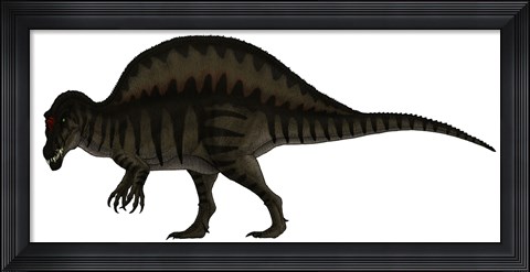 Framed Spinosaurus, a Large Carnivore of the Cretaceous Period Print