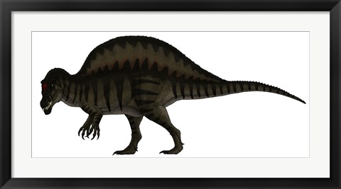 Framed Spinosaurus, a Large Carnivore of the Cretaceous Period Print