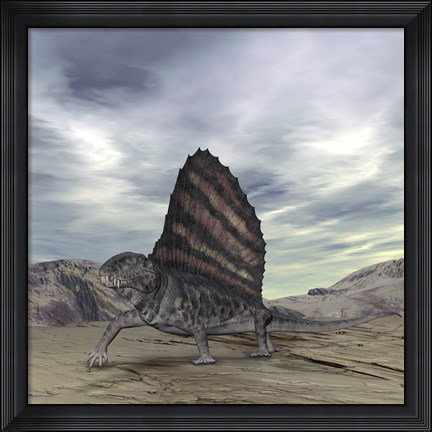 Framed Dimetrodon Grandis Traverses Earth During the Early Permian Period Print
