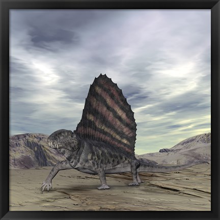 Framed Dimetrodon Grandis Traverses Earth During the Early Permian Period Print