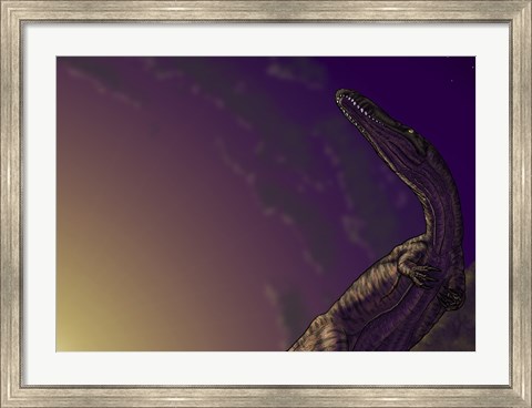 Framed Torvosaurus, a Megalosaurid Dinosaur from the Jurassic Period Print