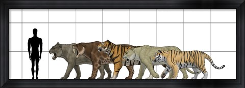 Framed Big Felines Size Chart Print