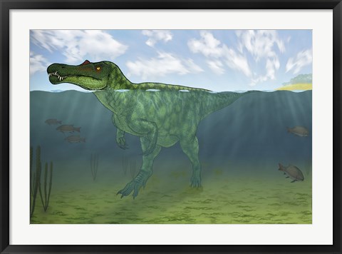 Framed Baryonyx Swimming Amongst Some Lepidotes Fish Print