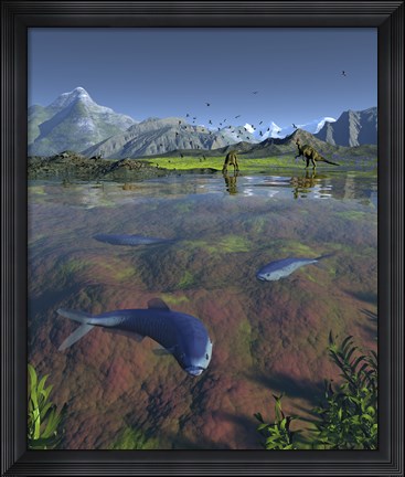 Framed Fanged Enchodus Predatory Fish From the Late Cretaceous Period Print