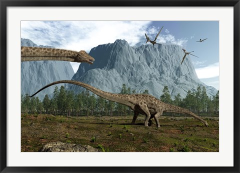 Framed Diplodocus Dinosaurs Graze While Pterodactyls Fly Overhead Print