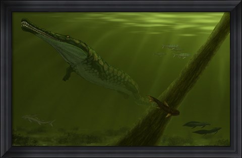 Framed Pedra de Fogo Formation featuring a genus of Prionosuchus Print
