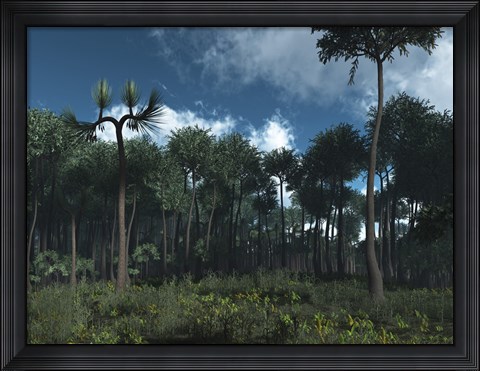 Framed Carboniferous Forest of Midwestern North America 350 million years ago Print