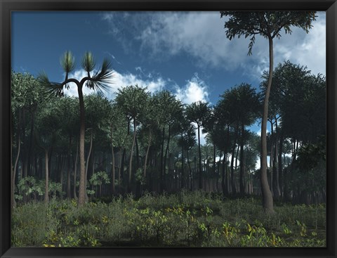 Framed Carboniferous Forest of Midwestern North America 350 million years ago Print