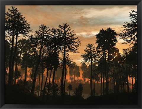 Framed Forest of Cordaites and Araucaria Silhouetted Against a Colorful Sunset Print