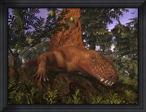 Framed Dimetrodon Amongst Alethopteris Ferns Print