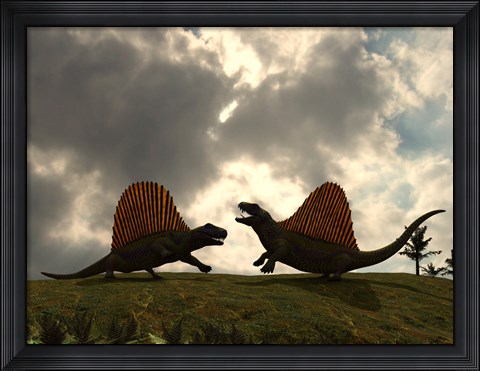 Framed Dimetrodon Fight Over Territory Print