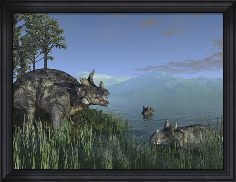 Framed Three Estemmenosuchus Mirabilis Face off in a Paleozoic Lake Print