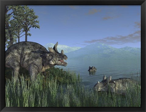 Framed Three Estemmenosuchus Mirabilis Face off in a Paleozoic Lake Print