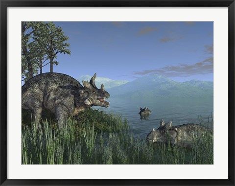 Framed Three Estemmenosuchus Mirabilis Face off in a Paleozoic Lake Print