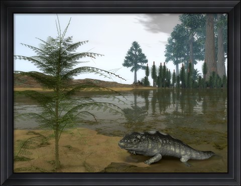 Framed Late Devonian Ichthyostega emerges from Waters of a Floodplain Print