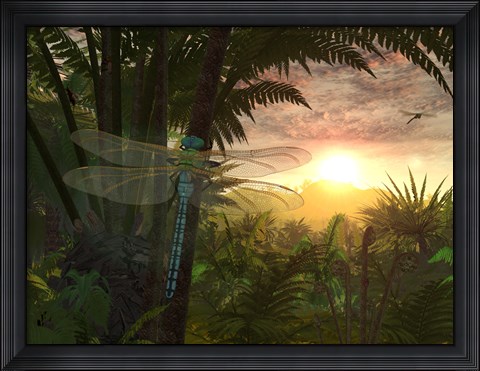 Framed Giant Meganeura with a 30-inch Wingspan Witnesses a Sunrise Print