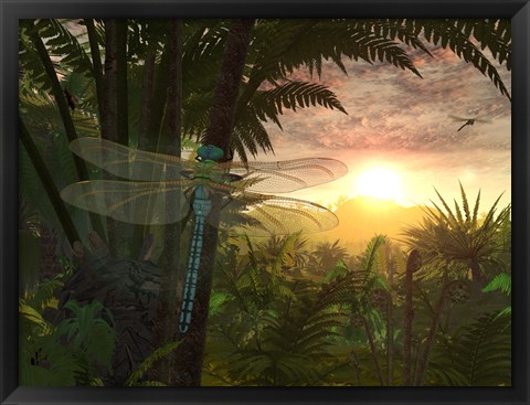 Framed Giant Meganeura with a 30-inch Wingspan Witnesses a Sunrise Print