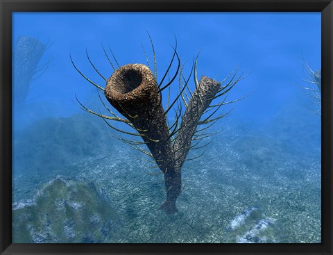 Framed species of Pirania, a Primitive Sponge that Populated the Ocean Floors 505 Million years ago Print