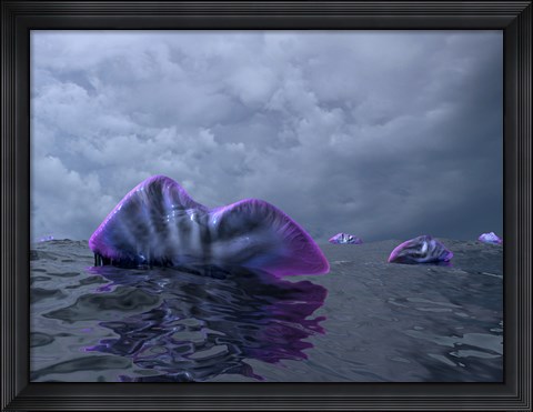 Framed Portuguese Man o&#39; War Swarm over the Surface of a Cambrian Ocean Print