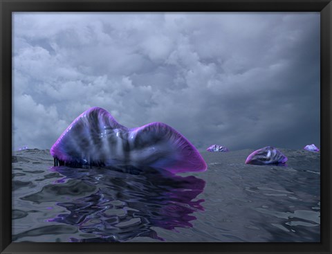 Framed Portuguese Man o&#39; War Swarm over the Surface of a Cambrian Ocean Print