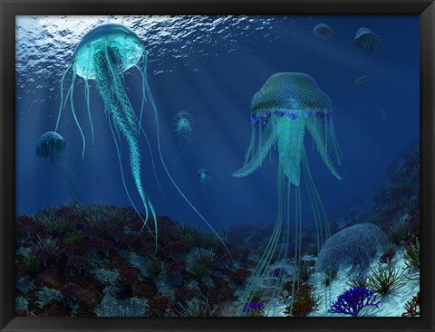 Framed Swarm of Jellyfish Swim the Panthalassic Ocean Print