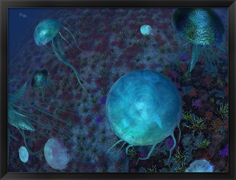 Framed Swarm of Jellyfish Swim the Panthalassic Ocean Print