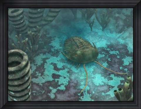 Framed Olenoides Trilobite Scurries across a Middle Cambrian Ocean Floor Print