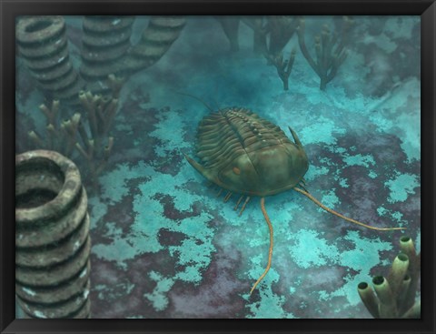 Framed Olenoides Trilobite Scurries across a Middle Cambrian Ocean Floor Print