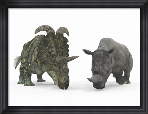 Framed Adult Albertaceratops Compared to a Modern adult White Rhinoceros Print