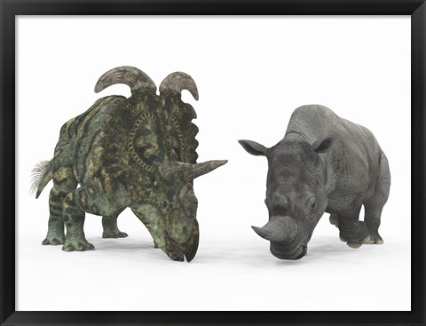 Framed Adult Albertaceratops Compared to a Modern adult White Rhinoceros Print