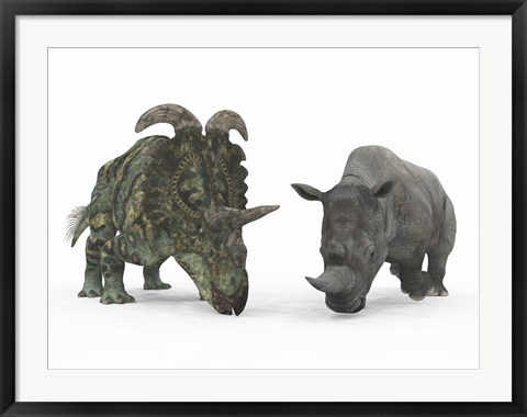 Framed Adult Albertaceratops Compared to a Modern adult White Rhinoceros Print